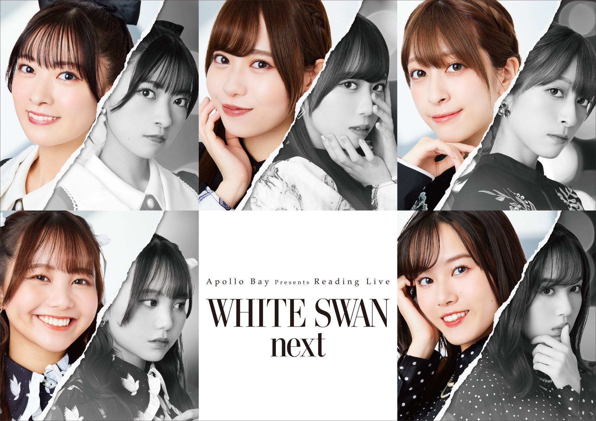Apollo Bay Reading Live「WHITE SWAN next」